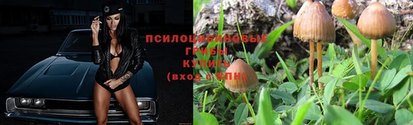 PSILOCYBIN Армянск